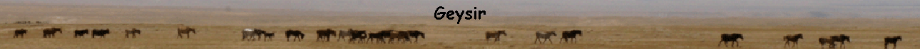 Geysir