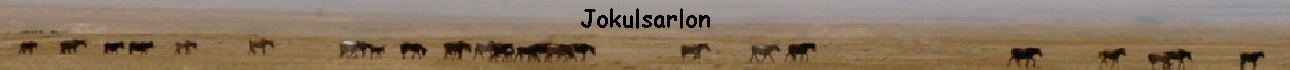 Jokulsarlon