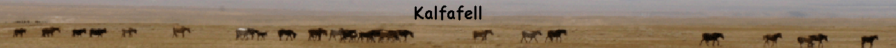 Kalfafell