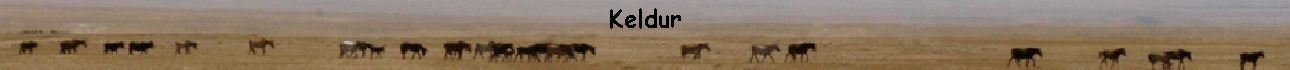 Keldur