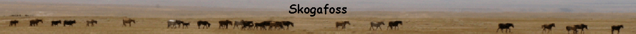 Skogafoss