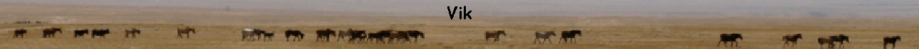 Vik