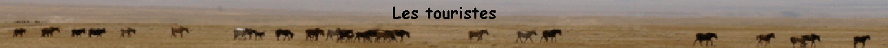 Les touristes