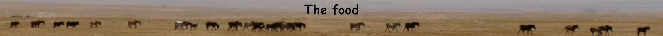 The food