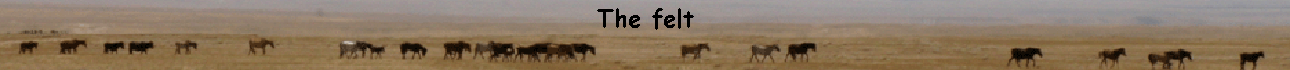 The felt